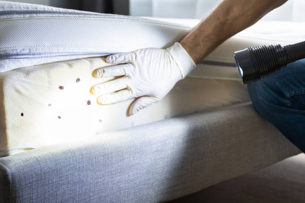 Best Exterminator Services  in Blair, NE